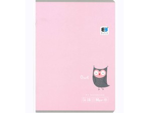 Zeszyt A5 LINIA DWUKOLOROWA 16 Kartek pastel SOWA