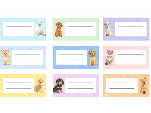 8c1d0531e9bcb9f6e425b5c5fcad2f5b