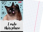 SZKOLNY Zeszyt A5 KRATKA 32 Kartki w Kratkę KOT Kotek CATURDAY