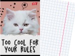 SZKOLNY Zeszyt A5 KRATKA 32 Kartki w Kratkę KOT Kotek CATURDAY 