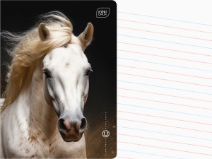 INTERDRUK Zeszyt A5 LINIA DWUKOLOROWA 16 Kartek w LINIĘ Wild HORSES KOŃ