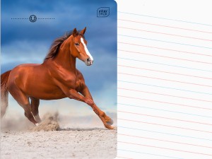 INTERDRUK Zeszyt A5 LINIA DWUKOLOROWA 16 Kartek w LINIĘ Wild HORSES KOŃ