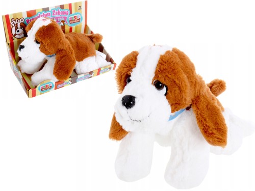 22844b5a7f91bf69f3031b9fdf778366