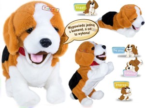 PIESEK FIGO Interaktywny Reaguje na Komendy BEAGLE