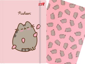 PUSHEEN Pink Teczka SZKOLNA z Gumką A4 na Dokumenty Kot Kotki UNIPAP