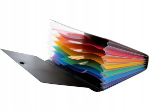 STRIGO MINI ORGANIZER na dokumenty PP DL Czarny